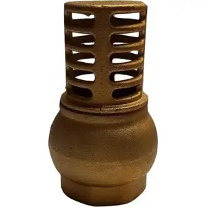 Check valve with brass strainer ARCO 1 1/4" (model 190806)