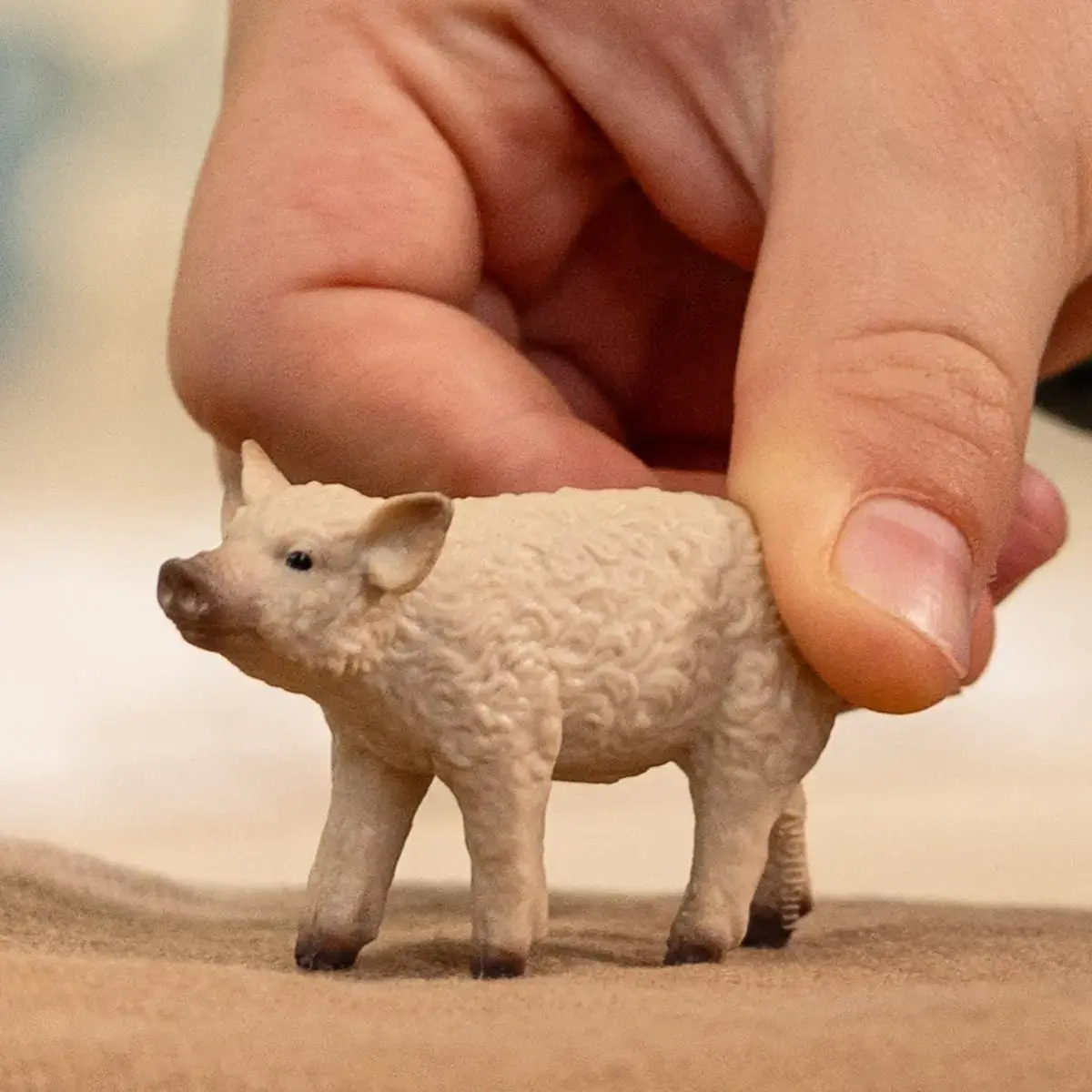 Schleich поросёнок Мангалица модель 14893 — FARM WORLD Photo 2