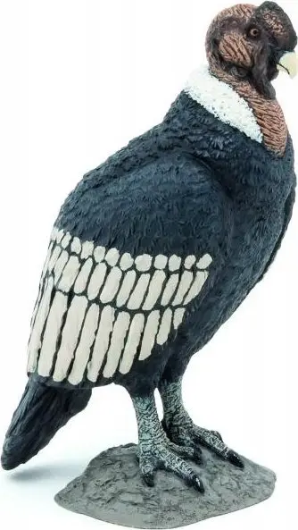 Детская фигурка HASBRO Papo 50293 Photo 2