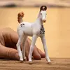 Schleich HORSE CLUB Marwari Foal фигурка Photo 2