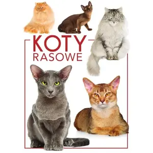 Фигурки SBM Koty rasowe — коллекционная игровая серия, модель 9788383484488
