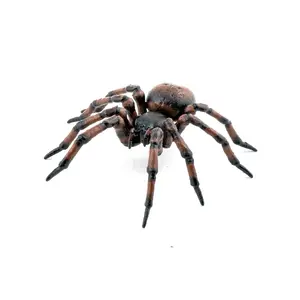 Figure Swede Papo Common spider, collectible animal figurine, black/brown, 1 piece