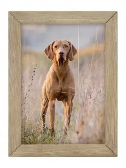 Photo Frames & Albums