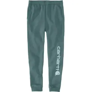 Džogeri Ombre Graphic Jogger Sea Pine — vīriešu sporta bikses ar elastīgu jostu un aprocēm