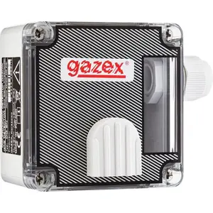 Двухуровневый детектор угарного газа Gazex DG-22.EN — стационарный CO-датчик