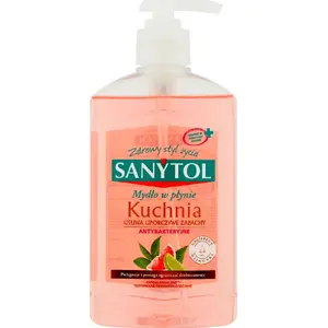 Liquid antibacterial kitchen soap SANYTOL 250 ml — grapefruit & lime