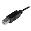 StarTech USB-C to USB-B Cable 2 m (USB 2.0) Photo 2