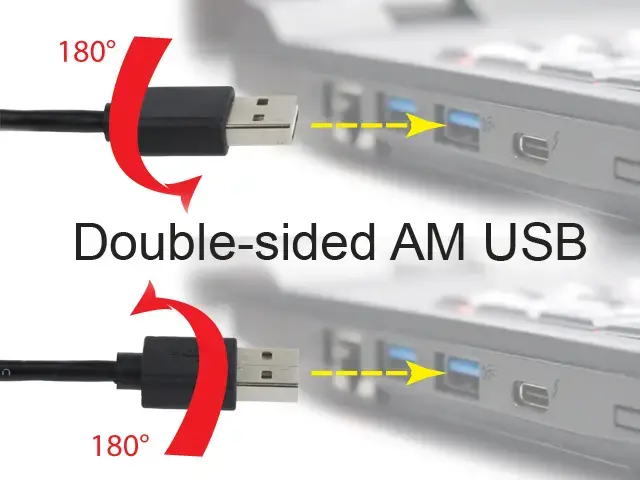 GEMBIRD CC-MUSB2D-1M USB 2.0 kabelis 1 m Photo 4