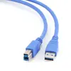 GEMBIRD USB A–USB B kabelis CCP-USB3-AMBM-10 Photo 2