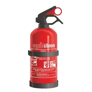 Car fire extinguisher powder 1 kg, No name OGP-1ZBC, ABC-type portable vehicle extinguisher