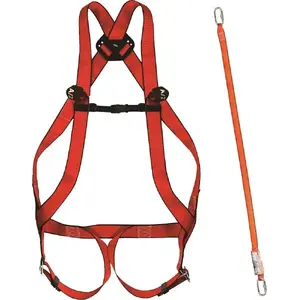 Climax komplekts Basic 10 Plus ar amortizatoru 31A 30/30+2 un karabīnēm