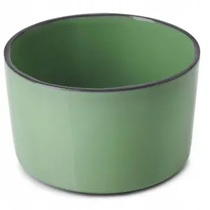 Bowl Revol CARACTERE 44 cl mint green