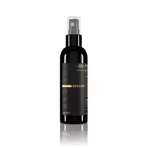 Car air freshener aerosol Italscent Aromatic89 Epsilon 100 ml