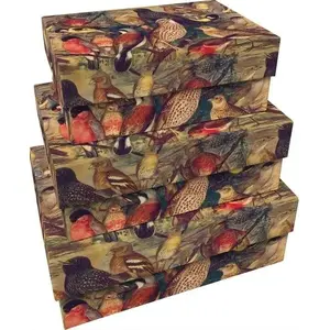 Decorative Gift Boxes Skona Ting Ptaki set of 3 – patterned storage and present boxes