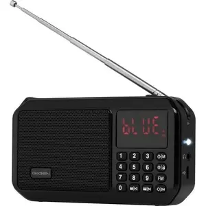 Portable Radio ETA GoGEN FMP125BTB — portable radio with FM, Bluetooth, rechargeable battery