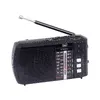 Trevi RA 7F20 BT портативное многодиапазонное радио Photo 2