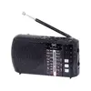 Trevi RA 7F20 BT портативное многодиапазонное радио Photo 3