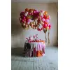 Игрушечный шар 4DOGS PartyDeco LB13P-076J-20 Photo 2