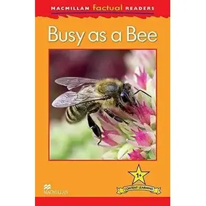 Macmillan Busy as a Bee 1+ — primary school English coursebook (Factual series)