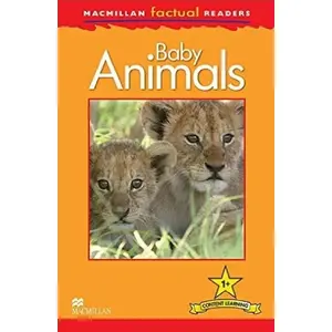 Children's Picture Book Macmillan Factual: Baby Animals 1+ (board book for early learners)