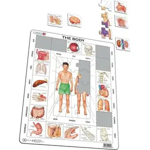 Izglītojošs puzlis Larsen Układanka Nasze ciało Maxi — koka anatomisks puzlis bērniem