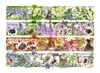 Puzle TREFL Premium Plus Quality 1000 Tea Time Photo 2
