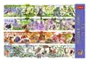 Puzle TREFL Premium Plus Quality 1000 Tea Time Photo 3