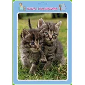 Jigsaw puzzle with coloring frame — MD Creative — 'Cats' (puzzle with built-in frame and coloring activity)