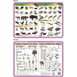 Educational Poster Visual System VISU0019 — Protected Mammals and Amphibians, Systematic Classification of Plants and Animals
