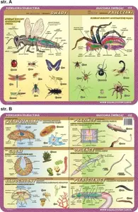 Educational Mat Visual System — Insects, Arachnids, Protozoa, Flatworms (illustrated learning mat)