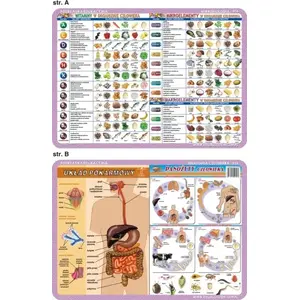Educational mat Visual System — human skeleton, muscles, brain and senses (illustrated learning mat)