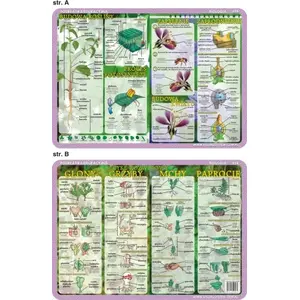 Educational placemat Visual System — Plant and Flower Structure; Life Cycles: Algae, Fungi, Mosses, Ferns