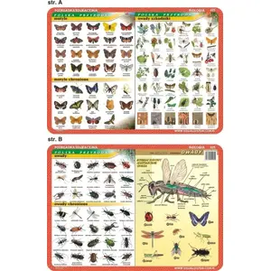Educational Placemat Visual System – Butterflies and Insect Pests, Insect Identification Charts
