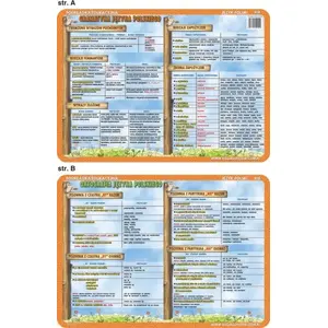 Educational mat 'Pisownia z -by i -nie, derivative words, types of borrowings' — Visual System (VISU0010)