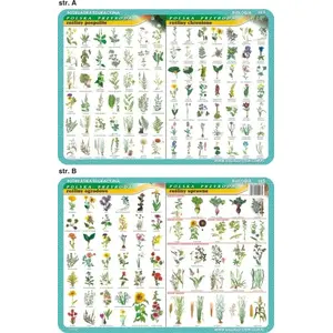 Educational Mat Visual System — Garden Plants: Cultivated, Common and Protected