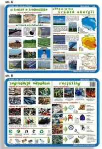 Обучающая подкладка Visual System — экология (VISU0060)