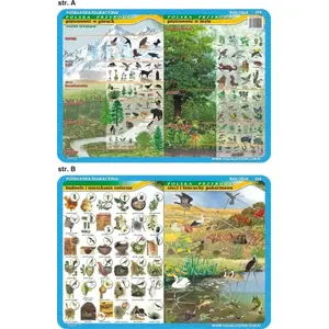 Educational Mat 'Verticality in Mountains and Forests' by Visual System — animal habitats and food webs learning mat