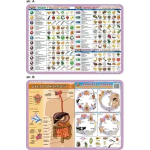 Educational placemat Visual System VISU0034 — human parasites, digestive system, vitamins, micro- and macroelements