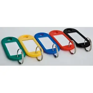 Key tags ARGO model 607160 — pack of 100 key identification tags