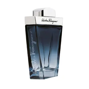 Salvatore Ferragamo Subtil 100 ml Vīrieši