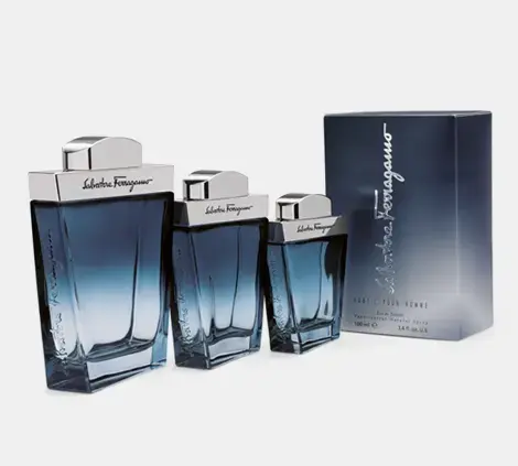 Salvatore Ferragamo Subtil 100 ml 8032529110146 Photo 4