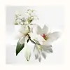 Hermes Un Jardin sur la Lagune 3346133600043 Photo 2