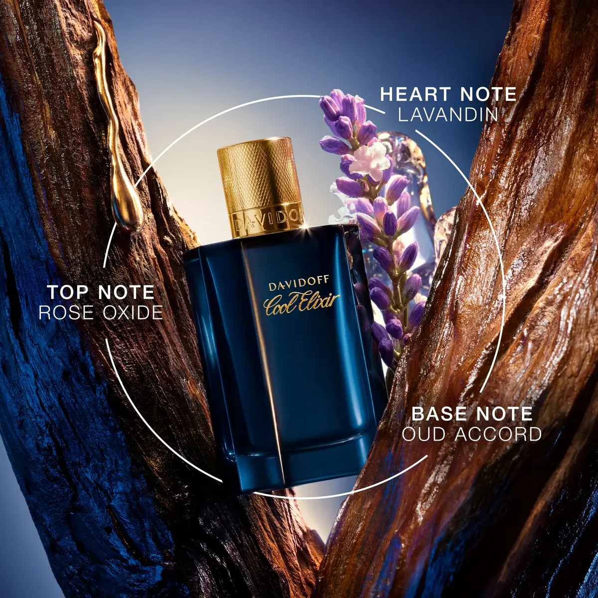 Davidoff Cool Elixir 350214131 Photo 7