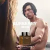 Burberry Hero Parfum 350178738 Photo 9