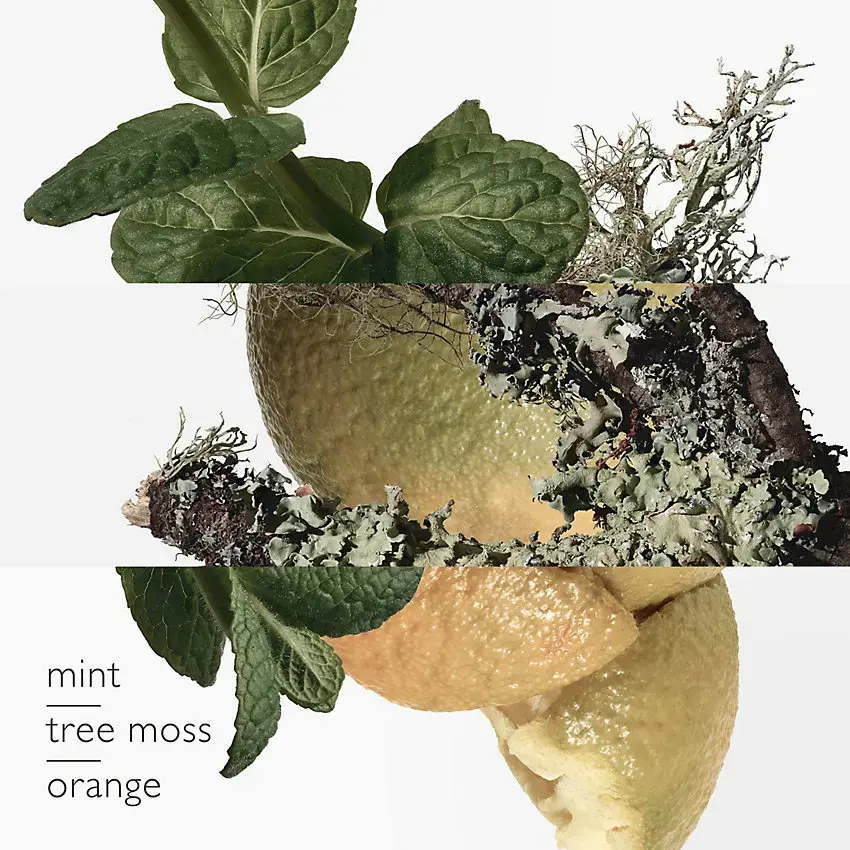 Hermes Eau d'orange verte eau de cologne 101914V0 Photo 2