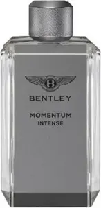 Парфюмерная вода Bentley Momentum Intense 100 мл — мужской аромат Bentley