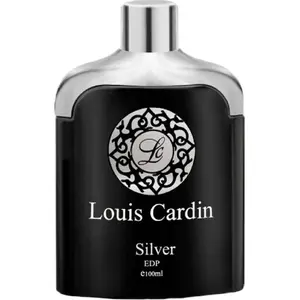 Eau de Parfum spray 100 ml LOUIS CARDIN Silver Homme — fragrance for men, 100 ml