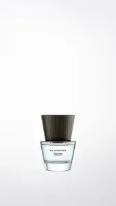 Burberry Touch 30ml Vīrieši