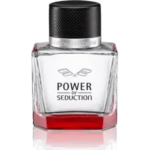 Eau de Toilette Antonio Banderas Power of Seduction 50 ml — men's fragrance