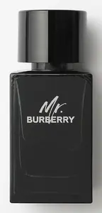 Eau de Parfum for Men BURBERRY Mr. 100 ml — liquid fragrance, 100 ml
